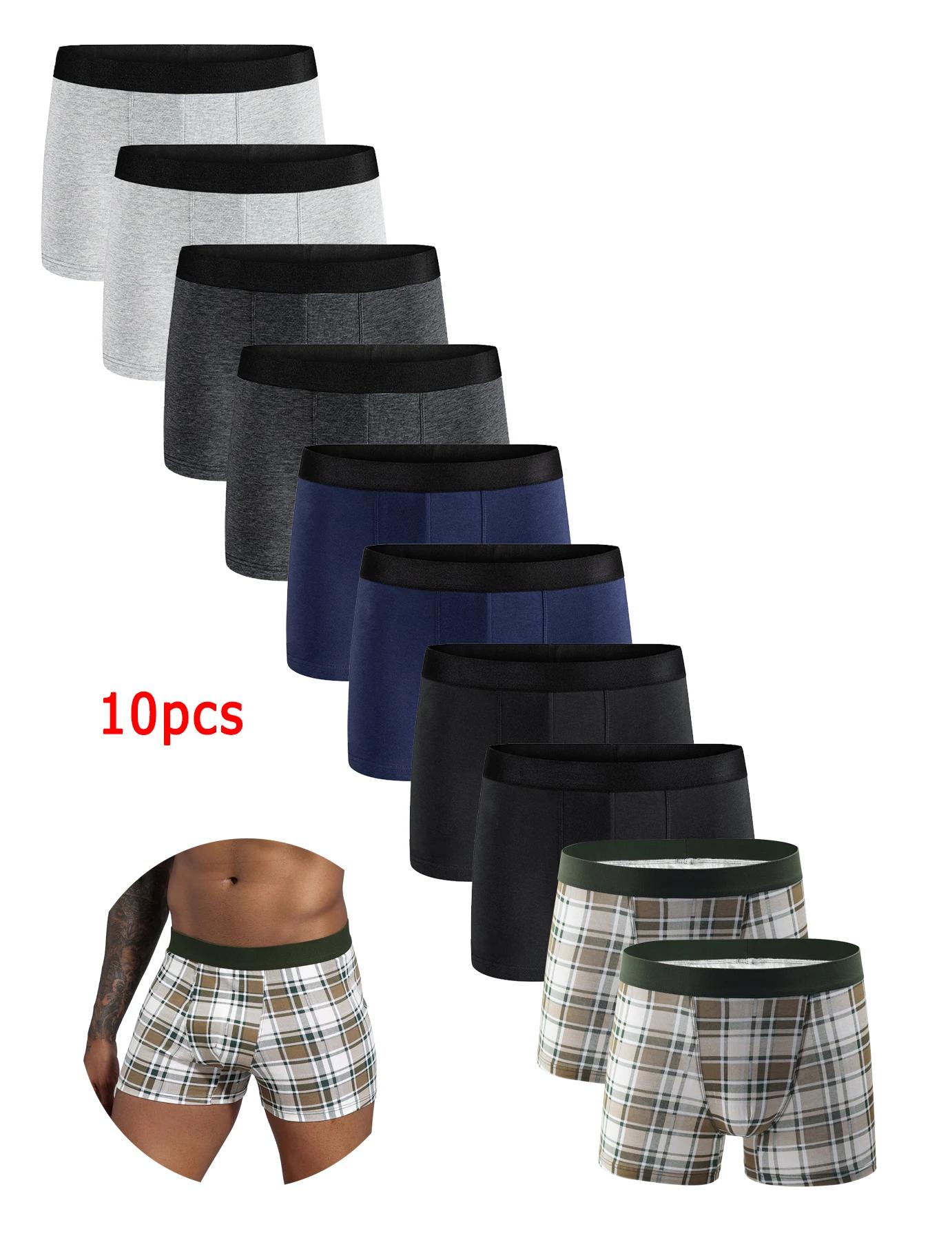   ݹ ӿ, ư ⼺ Ƽ,   ȹ  ݹ, ڽ  Ķ, 10  , 2024